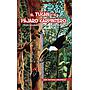 El Túcan y el pájaro carpintero